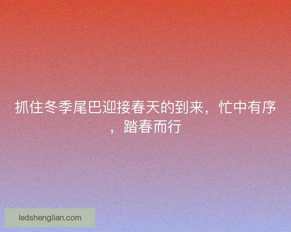 抓住冬季尾巴迎接春天的到来，忙中有序，踏春而行